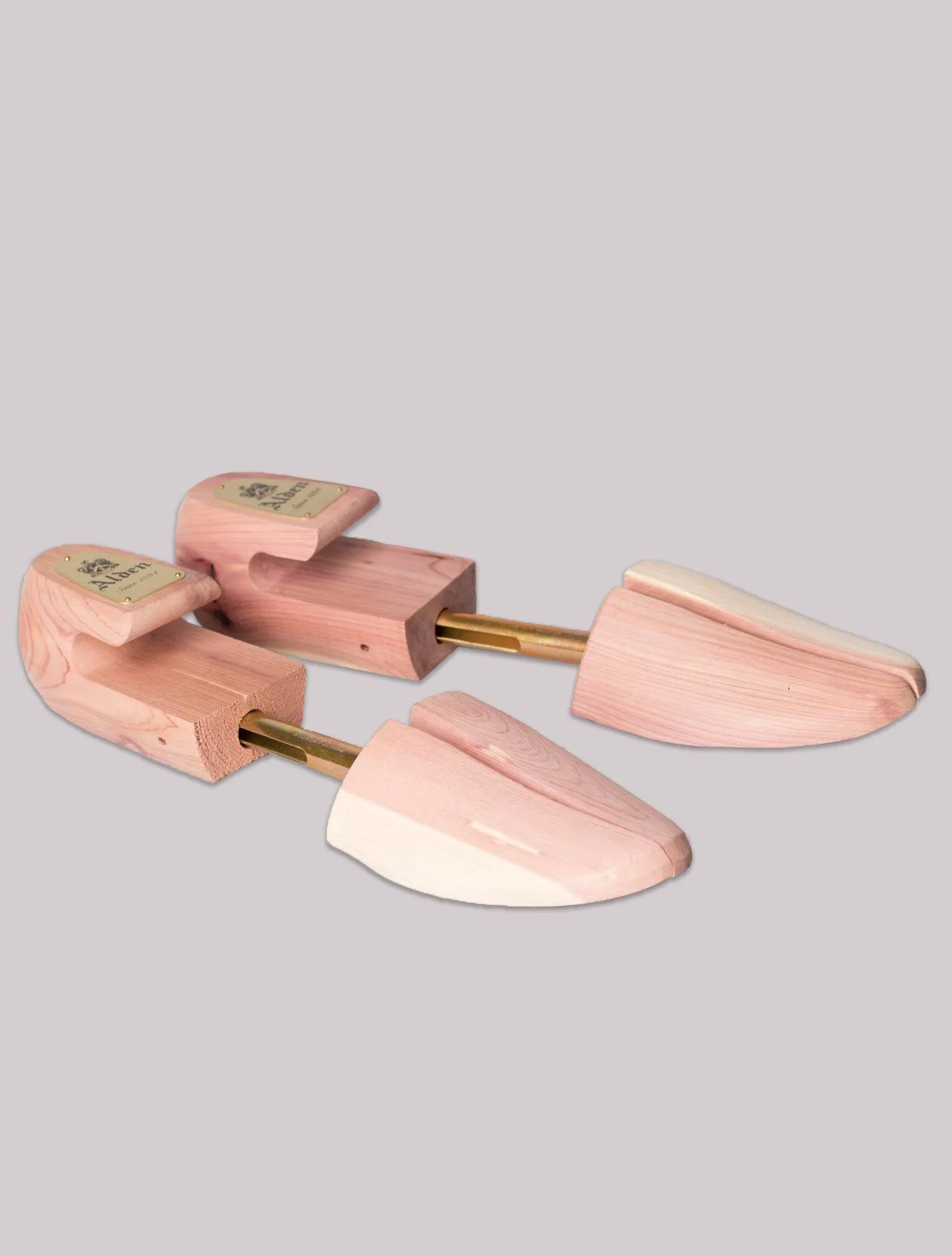 Shoe Tree Cedar